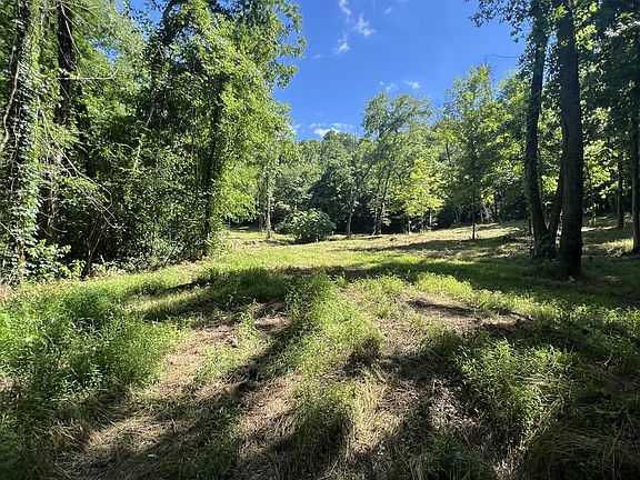 3rd image of 0 Horseshoe Bend Ln Lot 2
