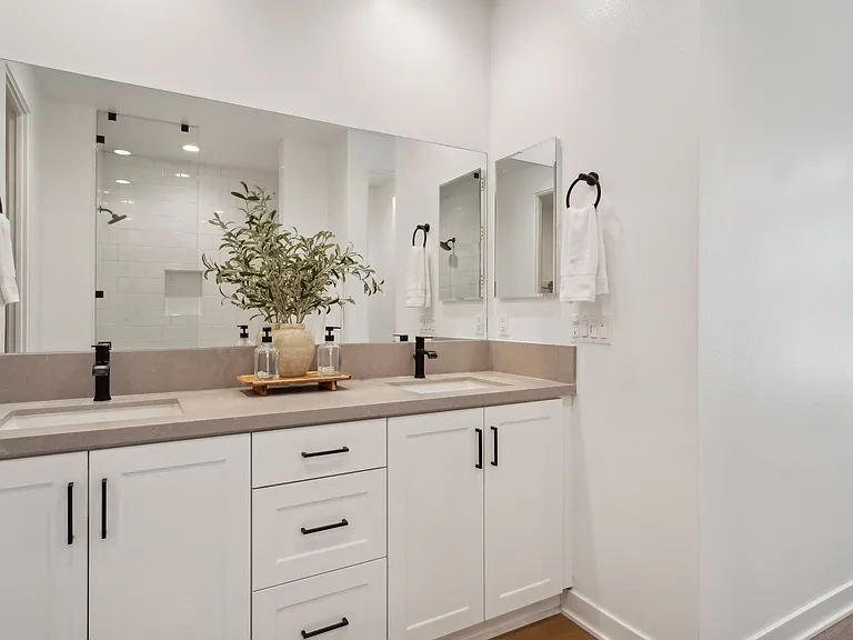 Master Suite Bathroom