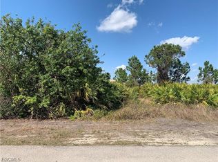 922 Aster St, Lake Placid, FL 33852