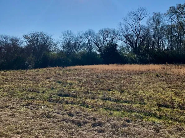 0 Souht Connecuh St, Greenville, AL 36037