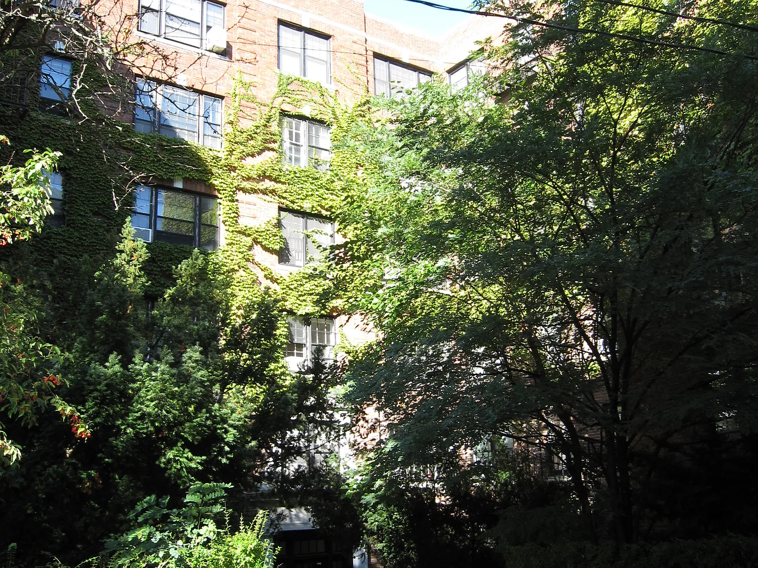 1 bed, 800 sqft, $3,100 — Photo 1
