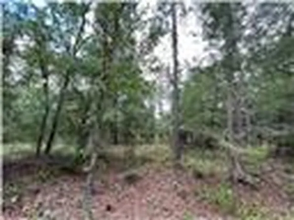 6101 Julliard, Keystone Heights, FL 32656