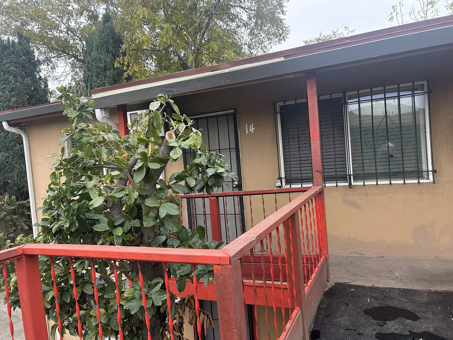 1 bed, 800 sqft, $1,199 — Photo 2