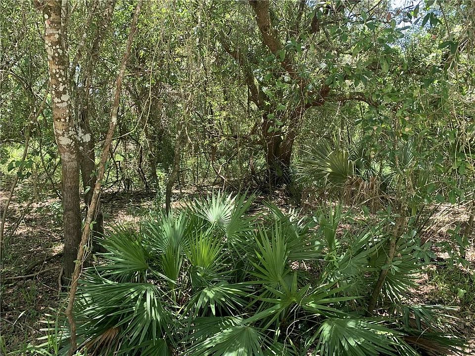2nd image of NE River Wood Rd