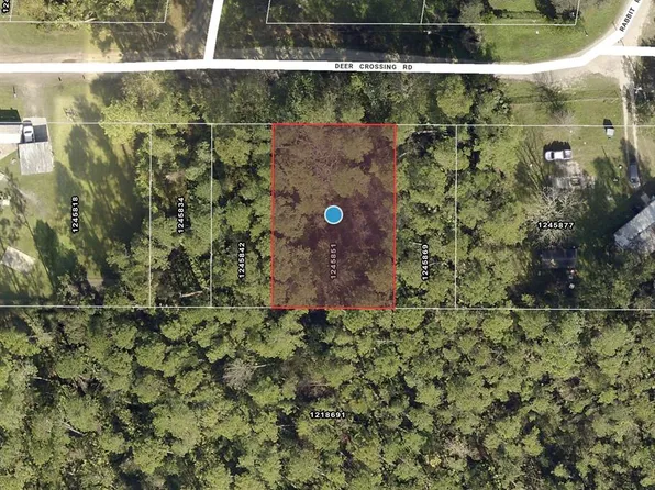 Deer Crossing Rd Lot 8, Altoona, FL 32702