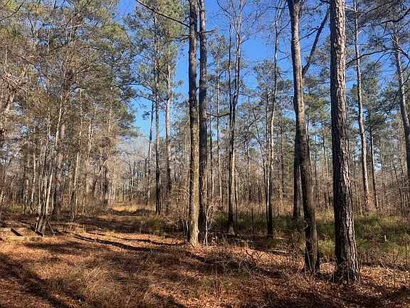 2nd image of 0 Fortner Ln