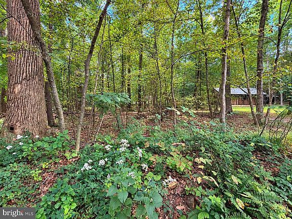 4th image of 17196 Old Stumpy Ln