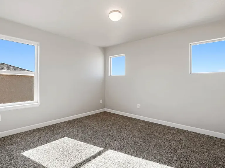 7201 Alpine Daisy Dr — Photo 29