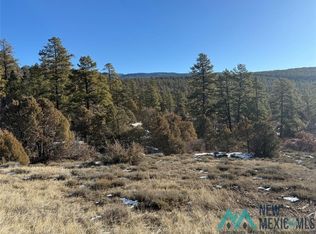 1 Township Road 9 #B, Chama, NM 87520
