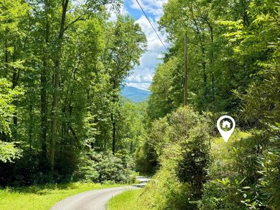 Lt 361 Wildflower, Franklin, NC, 28734