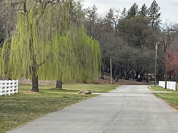 4th image of 13365 Bell Brook Dr
