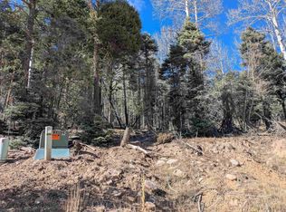 1369 Santo Domingo Trl, Angel Fire, NM 87710