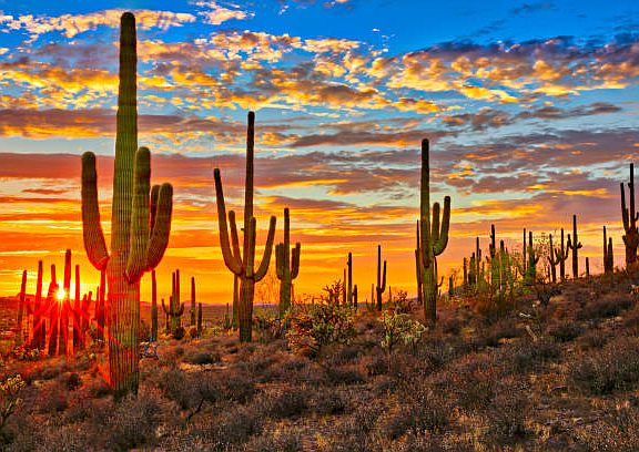 HELLO ARIZONA!