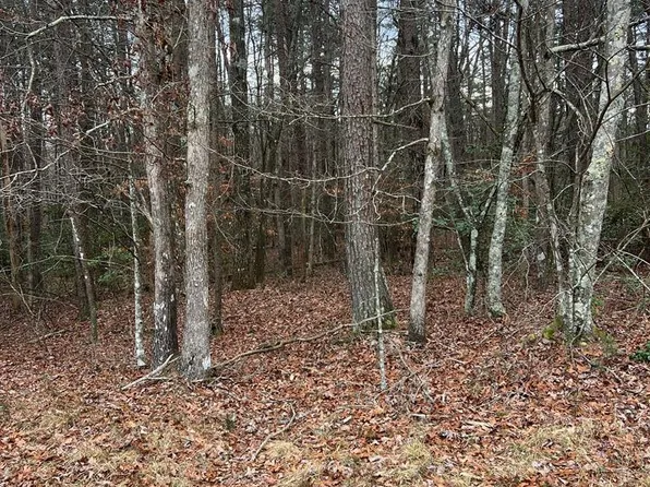 1 Laurel Loop, Monterey, TN 38574