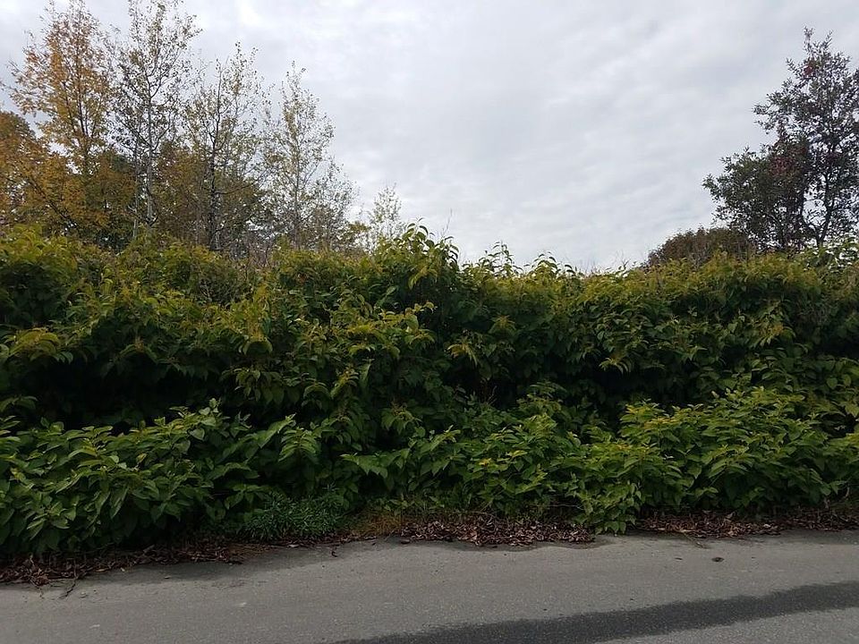 2nd image of 00 Axtell Drive