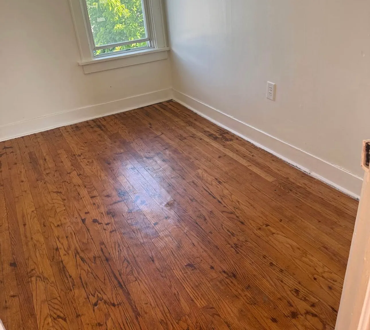 3 bed, $1,200 — Photo 1