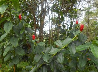 Papu Cir LOT 1157, Pahoa, HI 96778