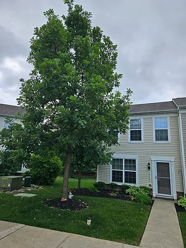 1404 Artisan Ct Photo 1