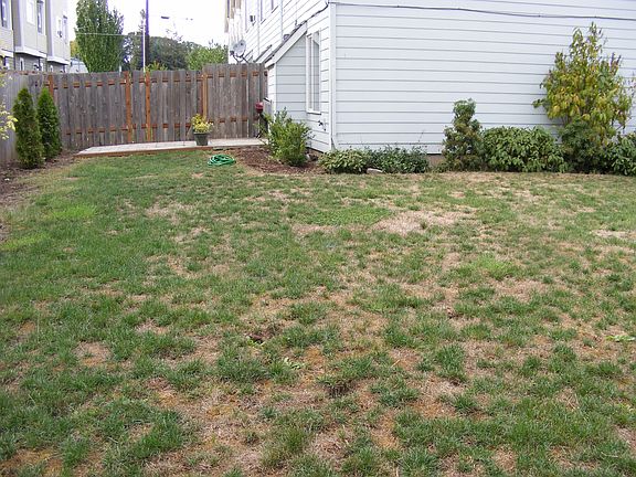 Largest Yard on the Block