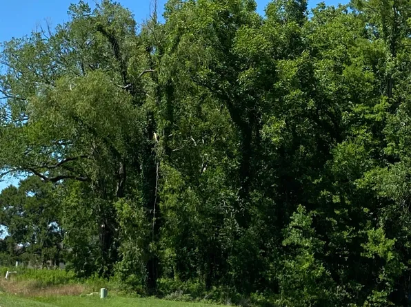 LOT 15 W Lake Dr, Pt Allen, LA 70767