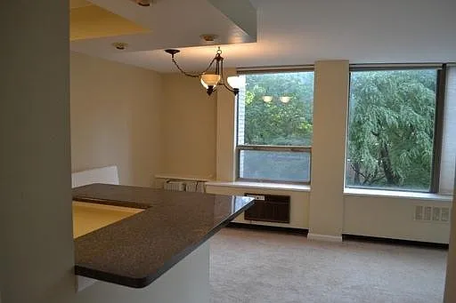 1455 N Sandburg Ter #308 — Photo 5