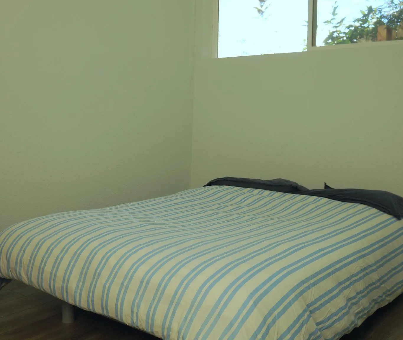 1 bed, 400 sqft, $1,850 — Photo 3
