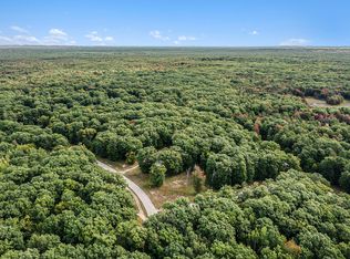 LOT 14 Pine Ave, Mears, MI 49436