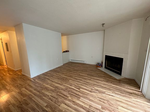 Living room and fireplace