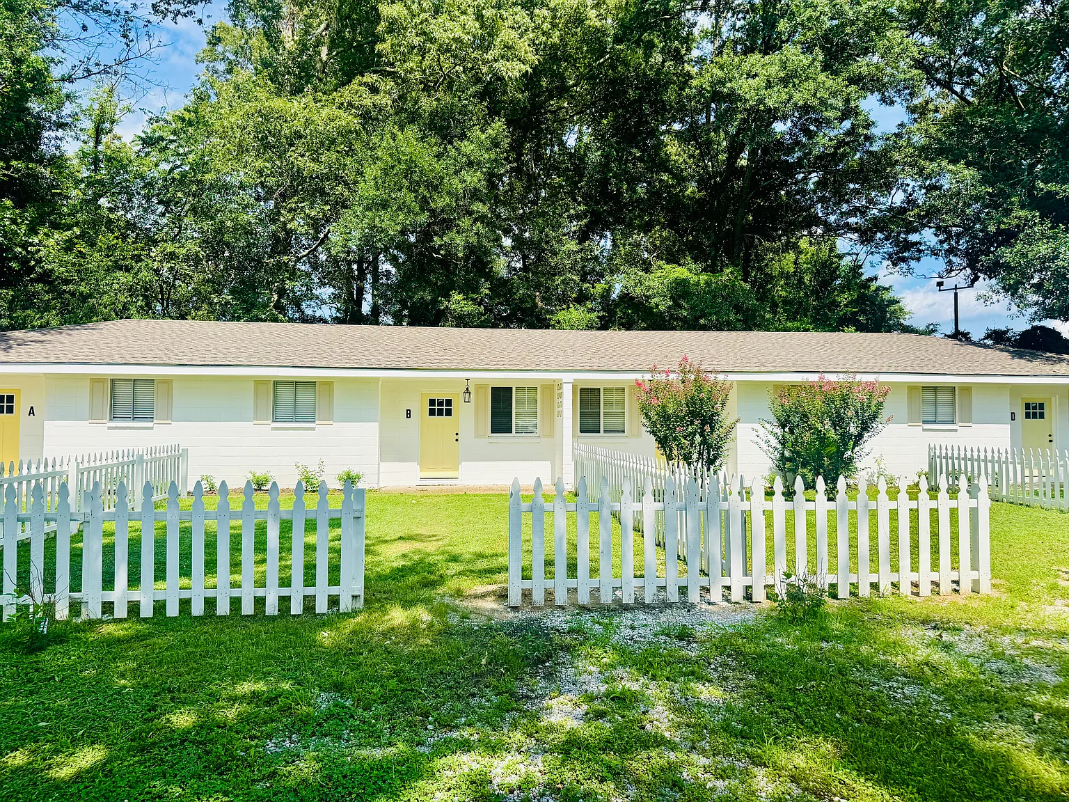 1 bed, $850 — Photo 3