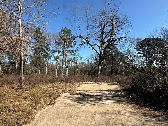 5th image of 513 State Highway 323 E