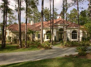 22 Eloquence Way, Spring, TX 77382