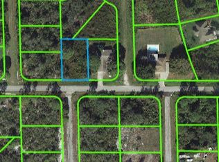 211 Ronald Rd NW, Lake Placid, FL 33852