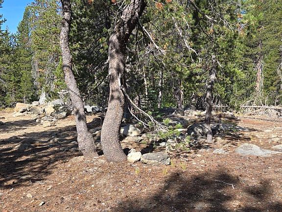 2nd image of 21031 Donner Pass Rd
