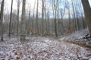 2nd image of 23379 Decorum Rd