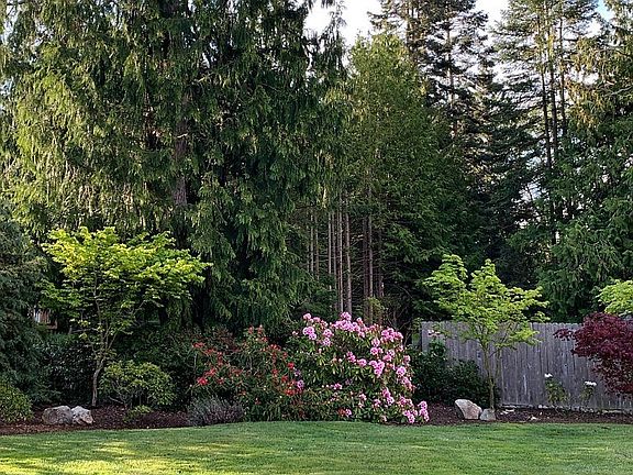 Rhodies, maples, lavendar, roses...fragrant and colorful.  