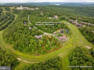 LOT 87 Lower Camp Rd, Mc Henry, MD 21541
