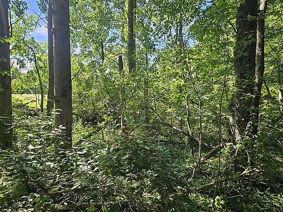Southwest corner stake