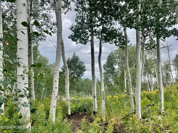 12162 E Hawk Ln #2137, Heber City, UT 84032