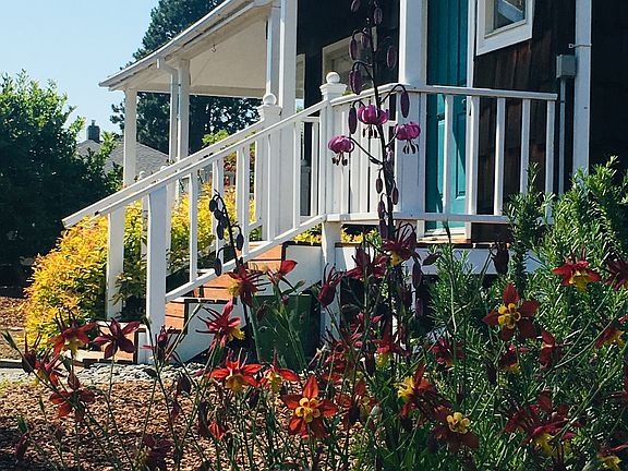 Covered Backporch