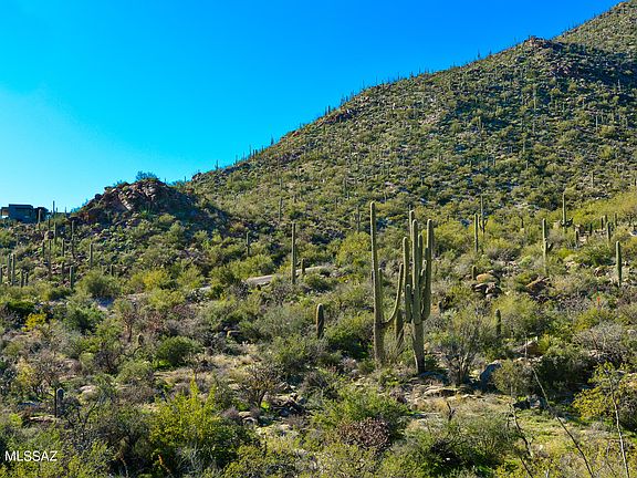 4th image of 14739 N Soaring Dove Pl Lot 65