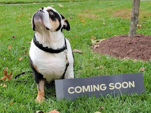 47 Boileau Ct, Middletown, MD 21769