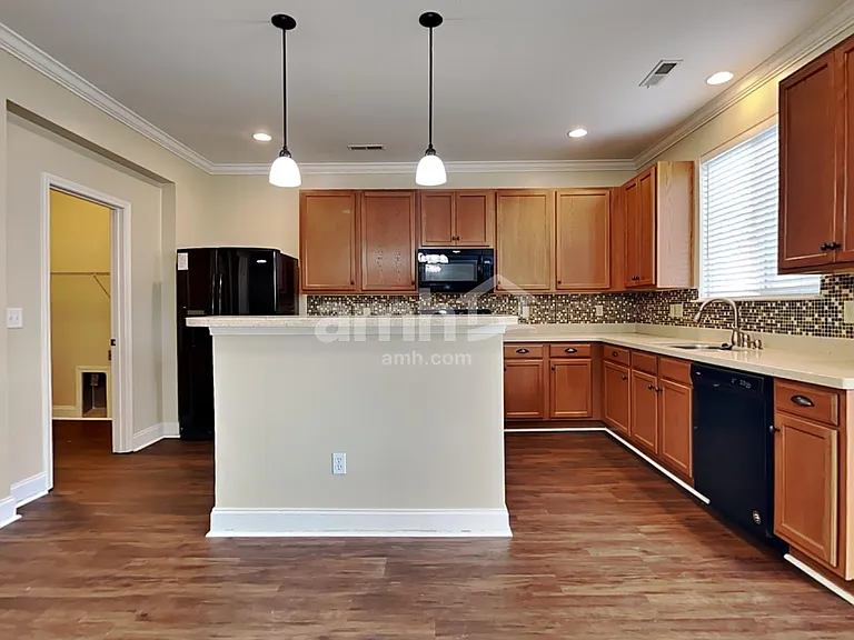 238 Austin Creek Ct — Photo 3