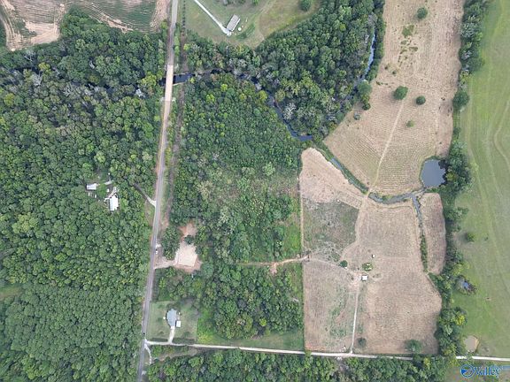 5th image of 9659 County Road 203