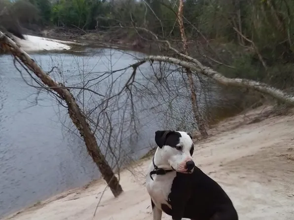 Nhn McDonald Rd, Pass Christian, MS 39571