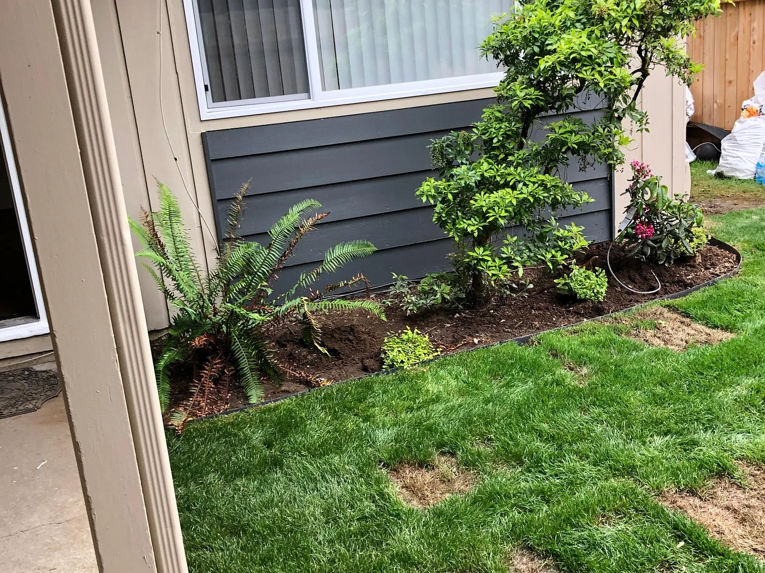 2 bed, 800 sqft, $1,495 — Photo 3