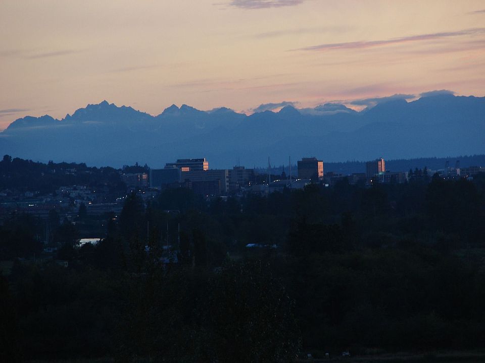 Evening view