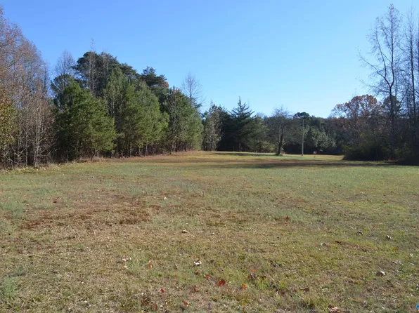 19 County Road 226, Fort Payne, AL 35967