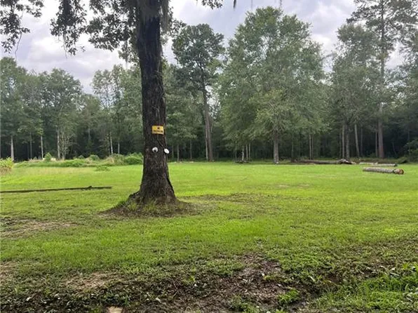 0 Tyler Cemetery Rd, Center Pt, LA 71323