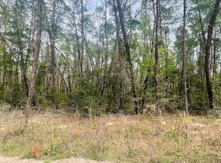 12 NE 139th Ave, Williston, FL 32696