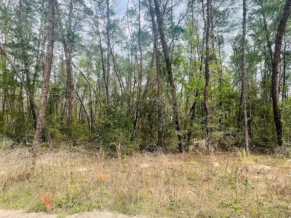 Lot 12 NE 139th Ave, Williston, FL 32696